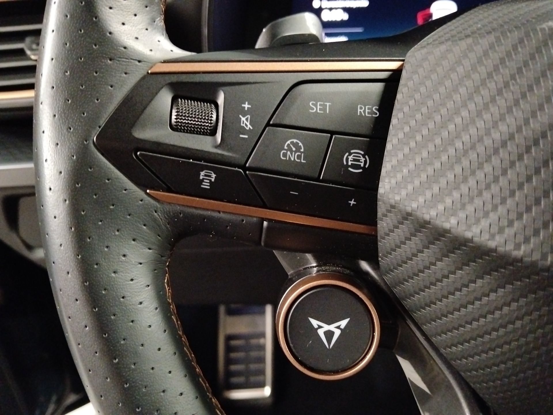 CUPRA León 1.5 eTSI DSG 110 kW (150 CV) - 8