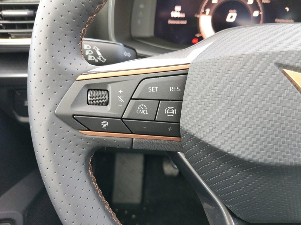 Cupra Formentor 1.5 TSI 110 kW (150 CV) - 10