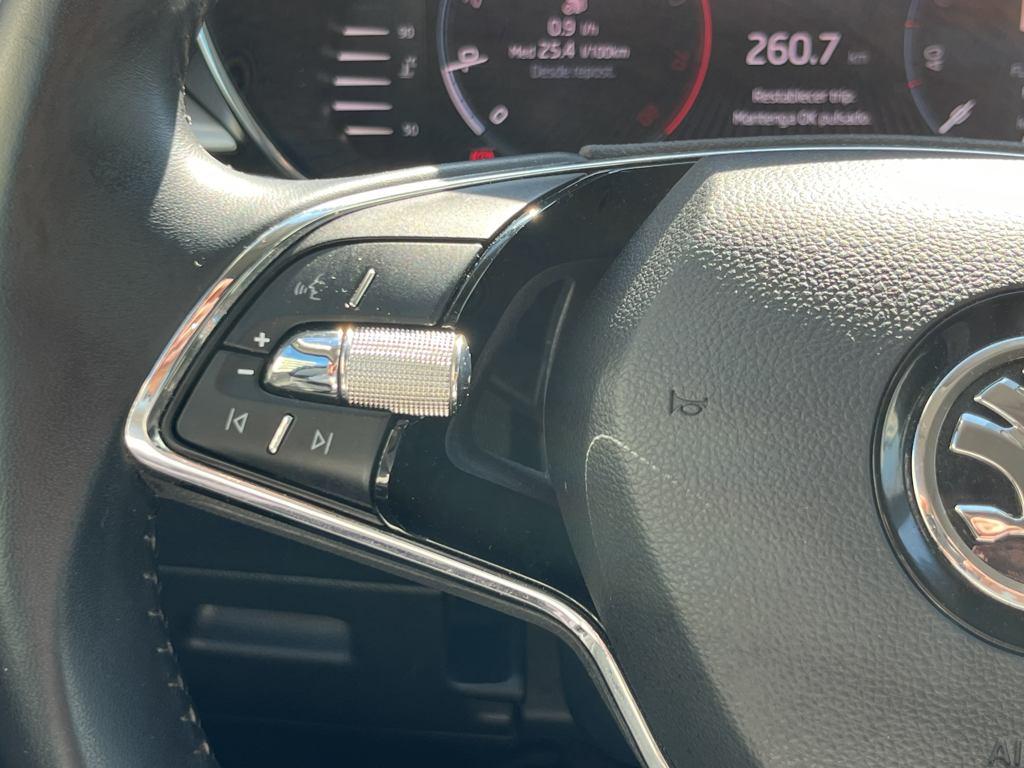 Skoda Fabia 1.0 TSI Style 81 kW (110 CV) - 18