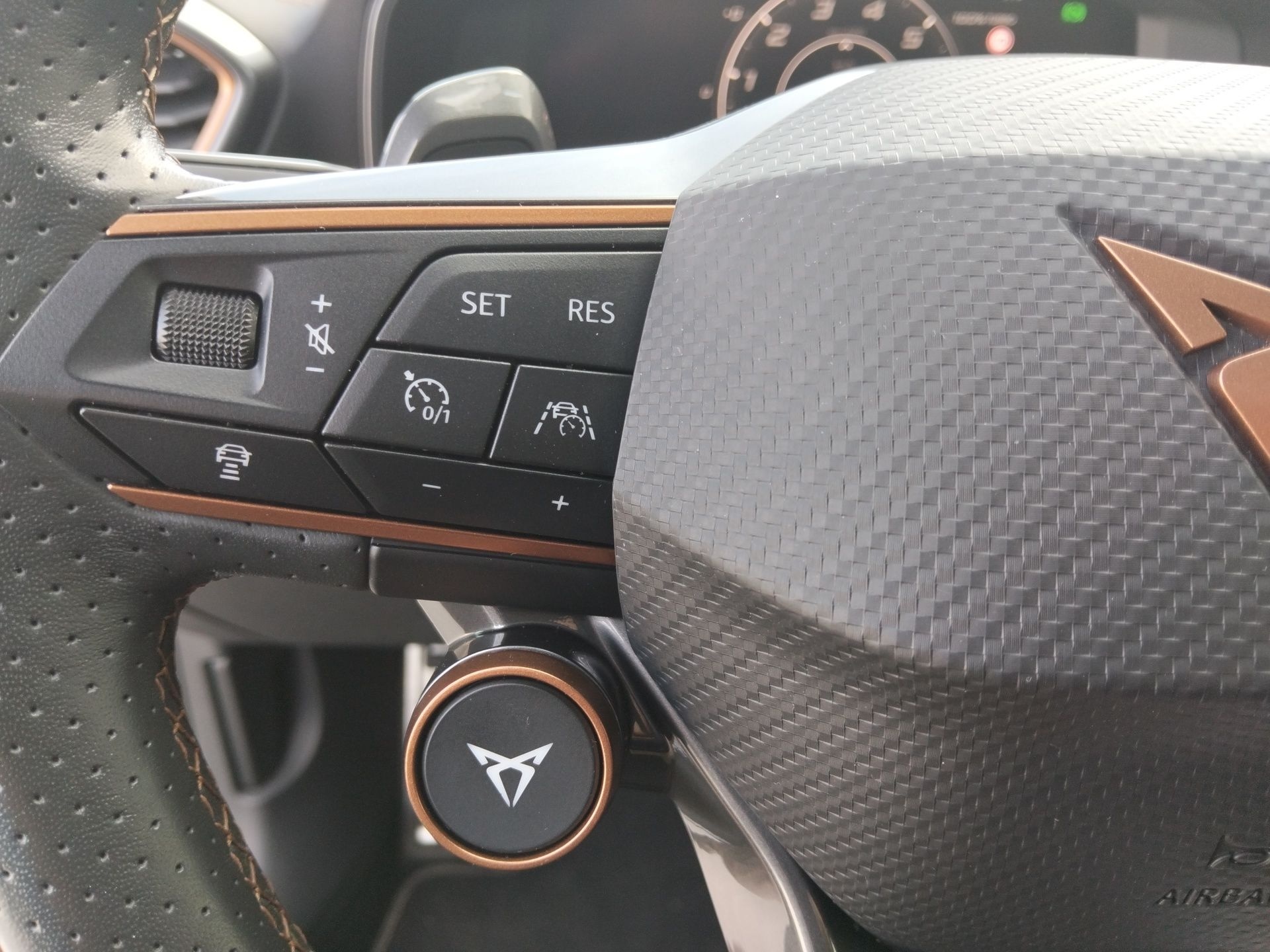 CUPRA Formentor 2.0 TSI VZ 4Drive DSG 228 kW (310 CV) - 8