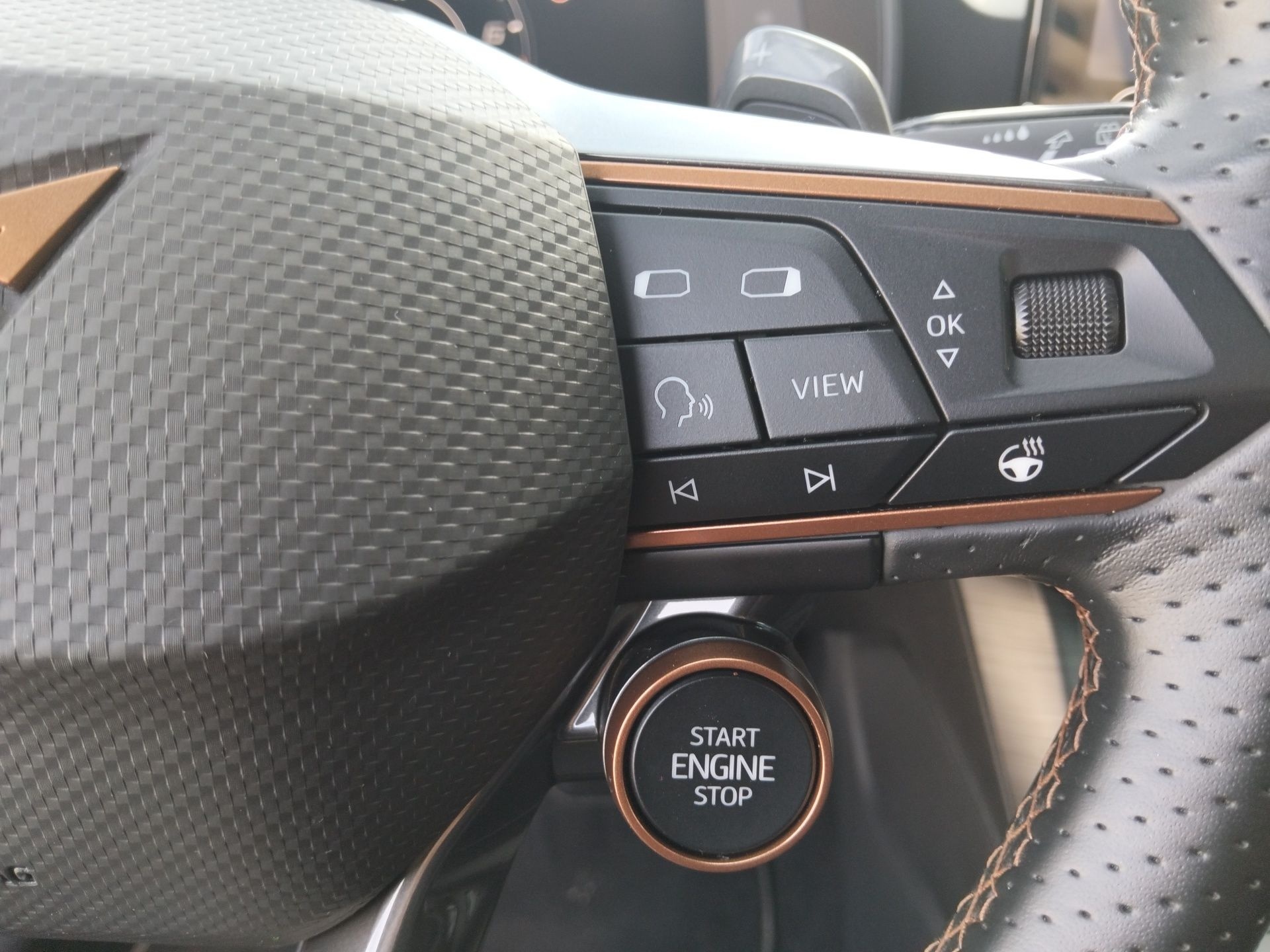 CUPRA Formentor 2.0 TSI VZ 4Drive DSG 228 kW (310 CV) - 9