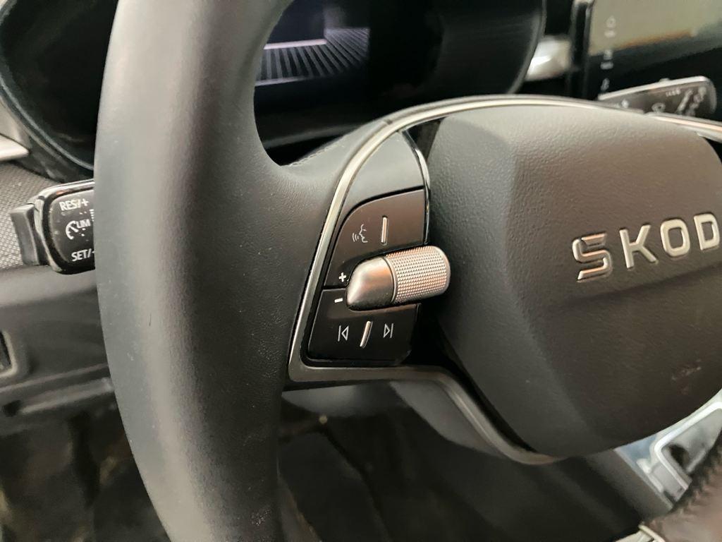 Skoda Fabia 1.0 TSI Selection 70 kW (95 CV) - 8