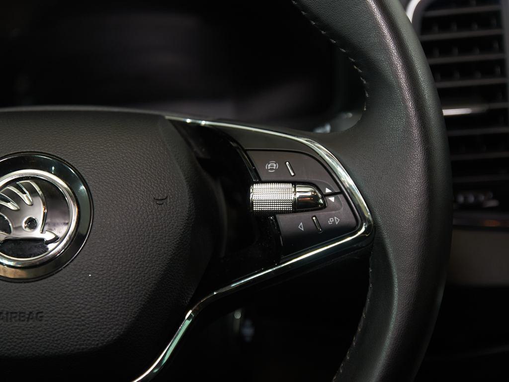 Skoda Karoq 2.0 TDI Ambition 4X4 DSG 110 kW (150 CV) - 9